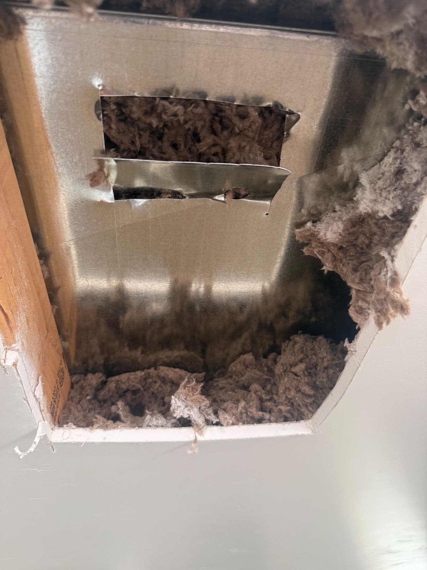 Project Duct Cleaning Done Right in Woodland Hills image